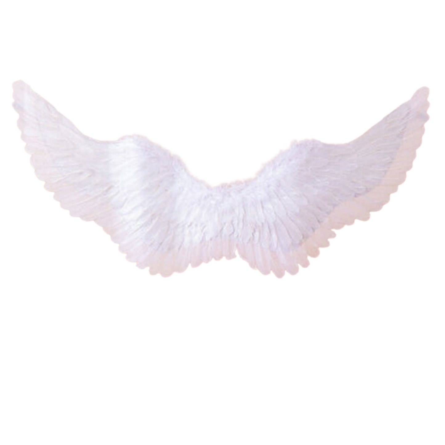 png_1500x1500_56271072